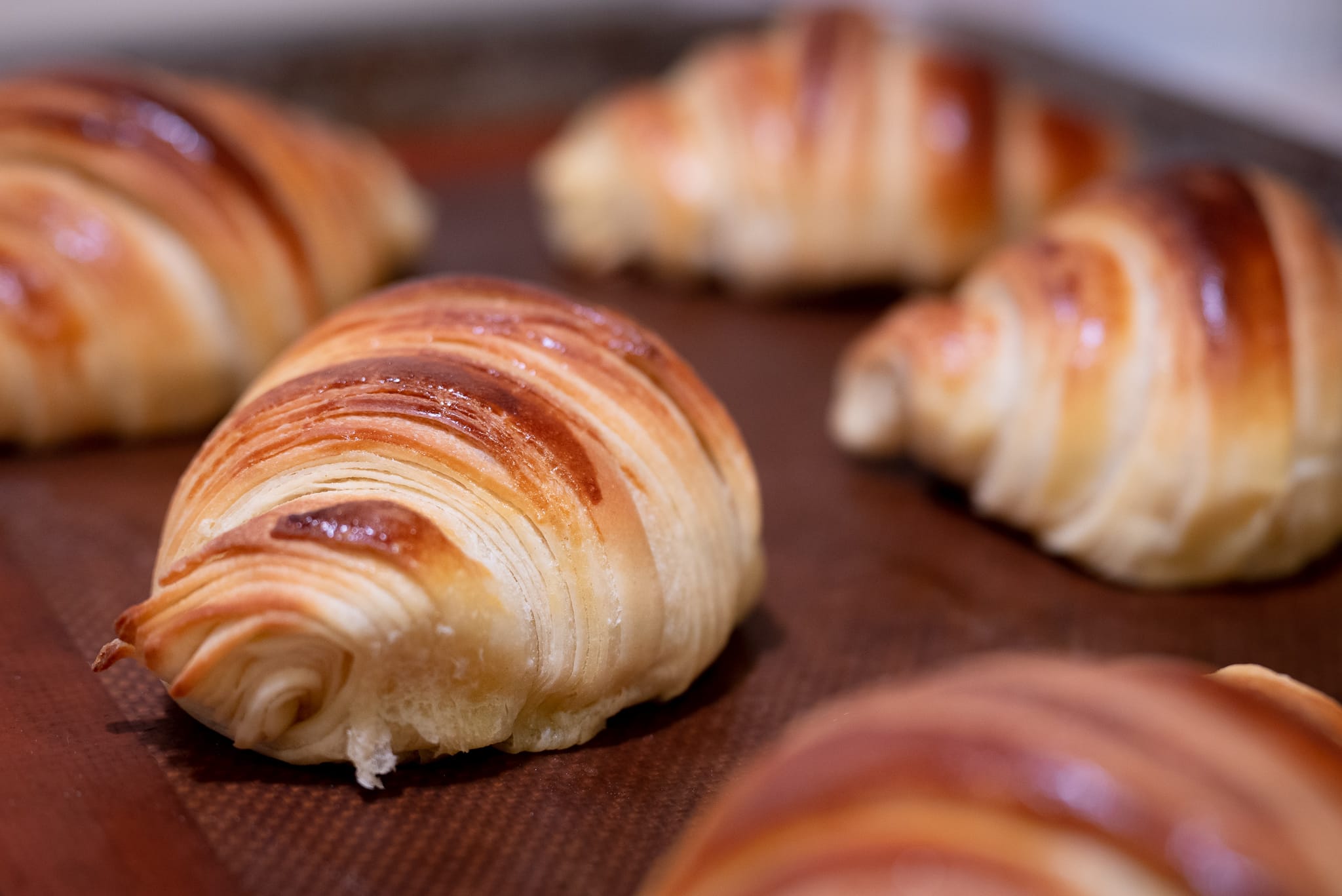 Baked croissants