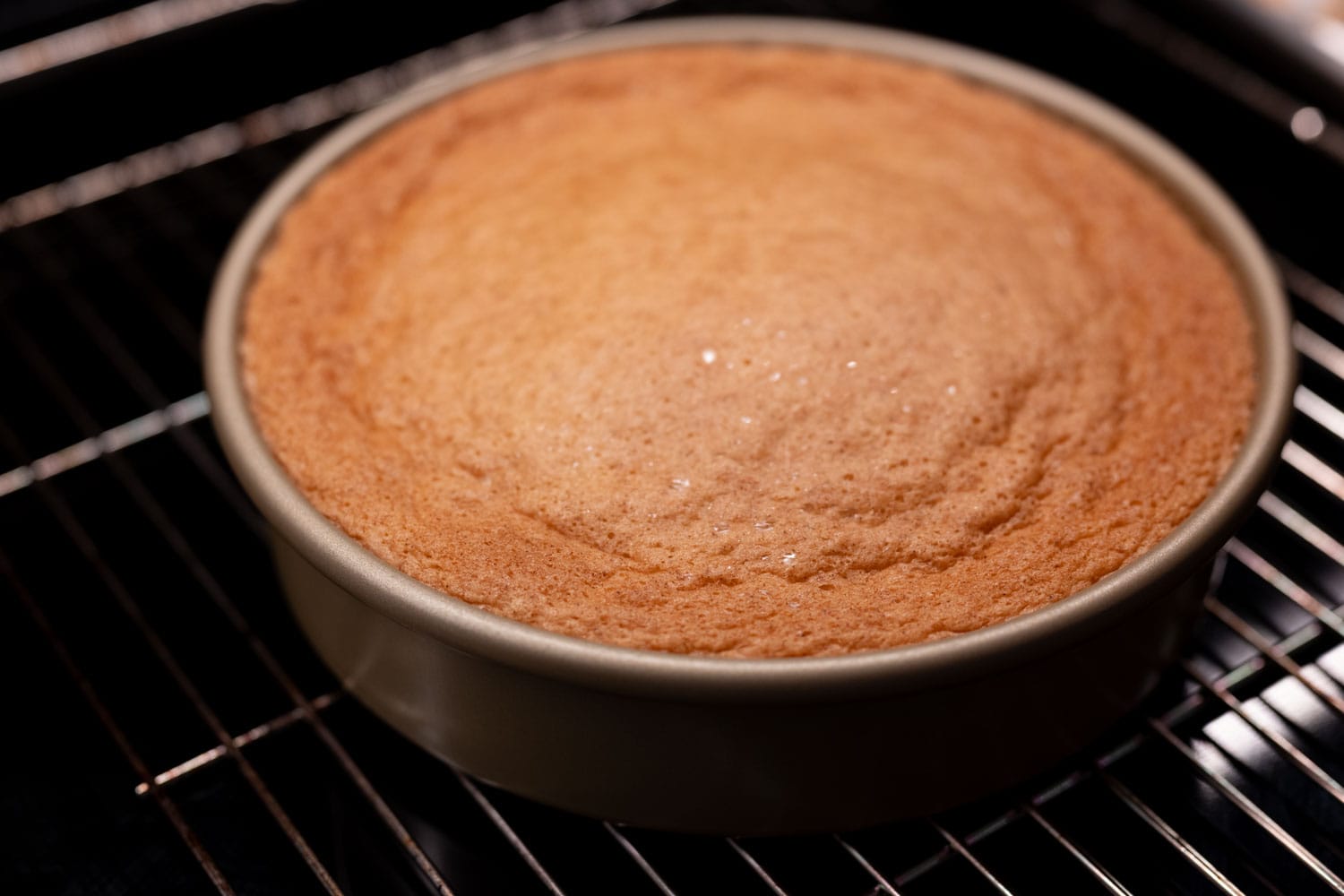 Olive oil cake