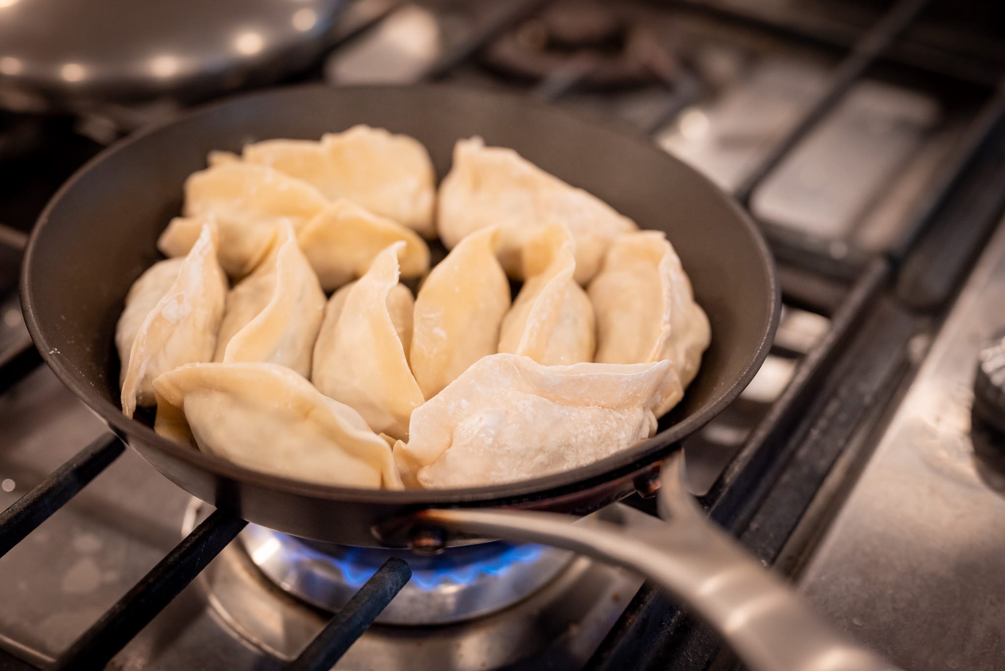 Gyoza