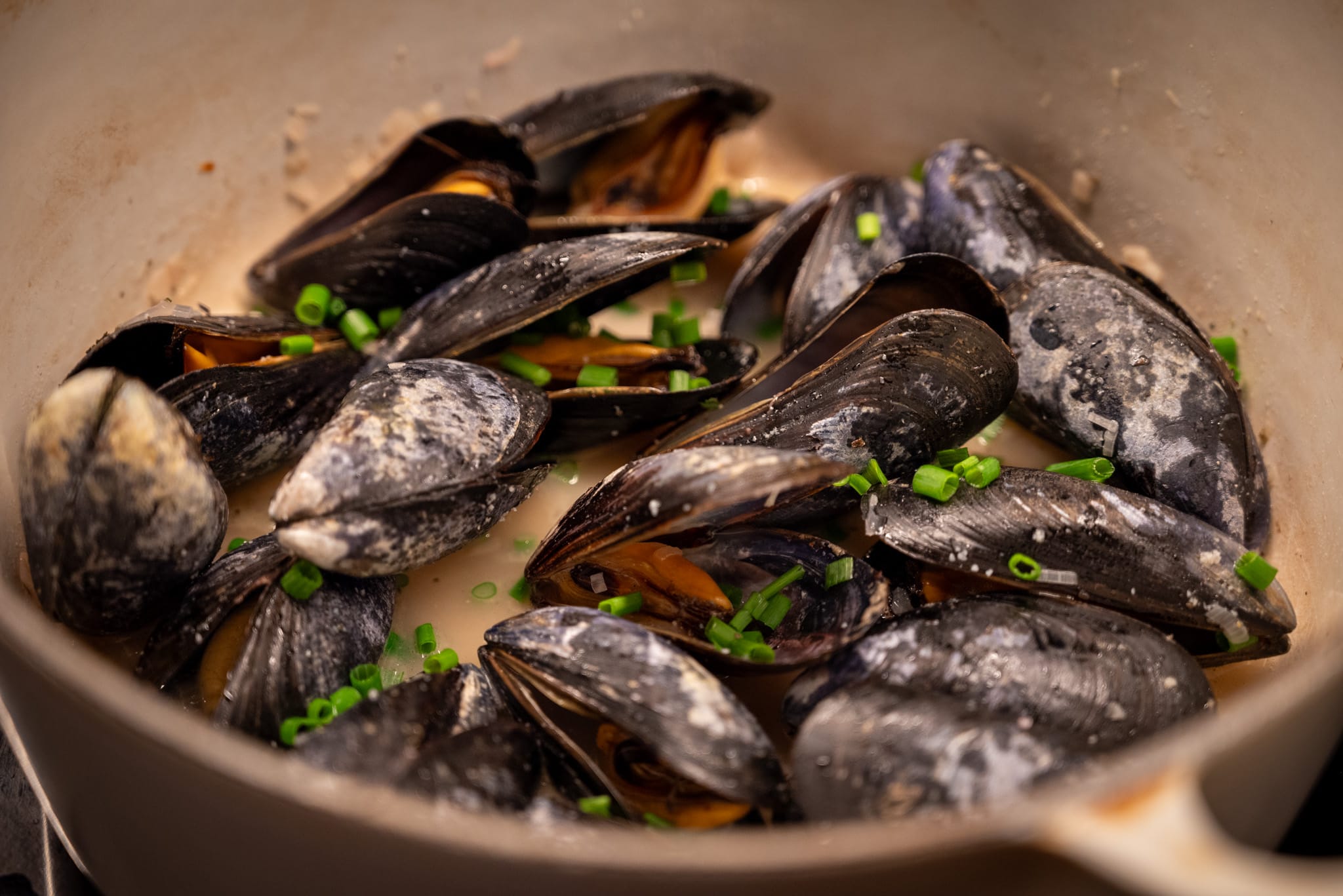 Mussels in white wine