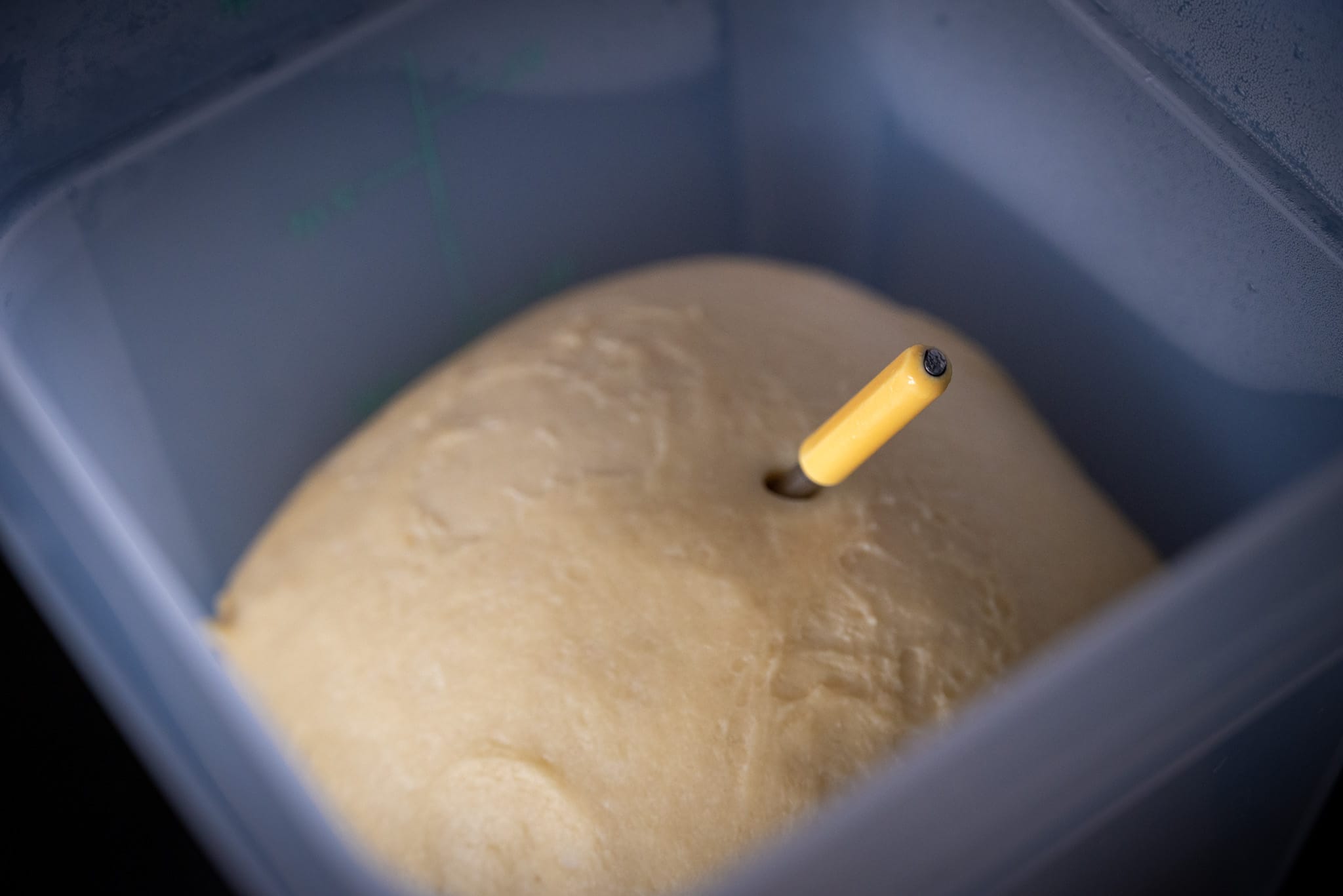 Brioche dough in a tub