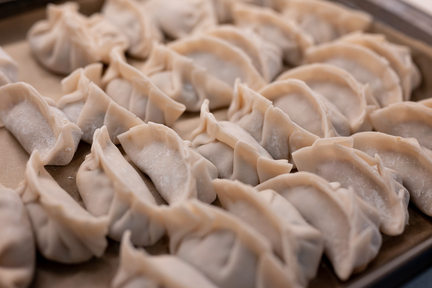 Pork and scallion dumplings