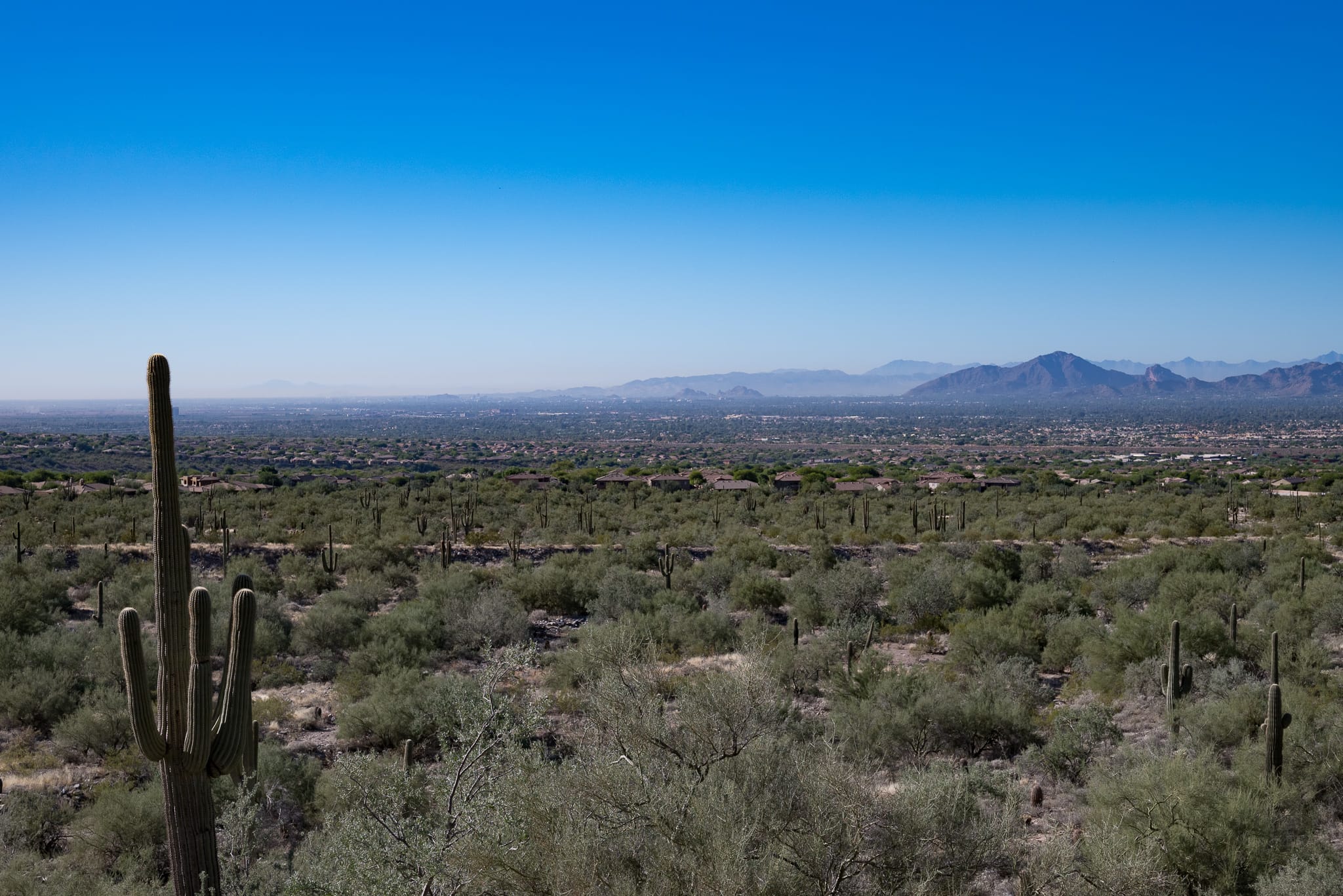 Arizona