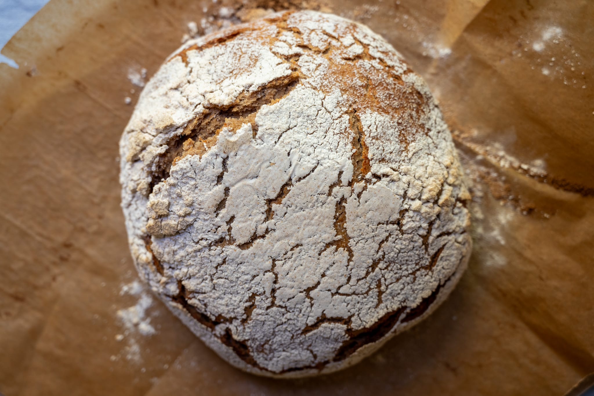Tourte auvergnate