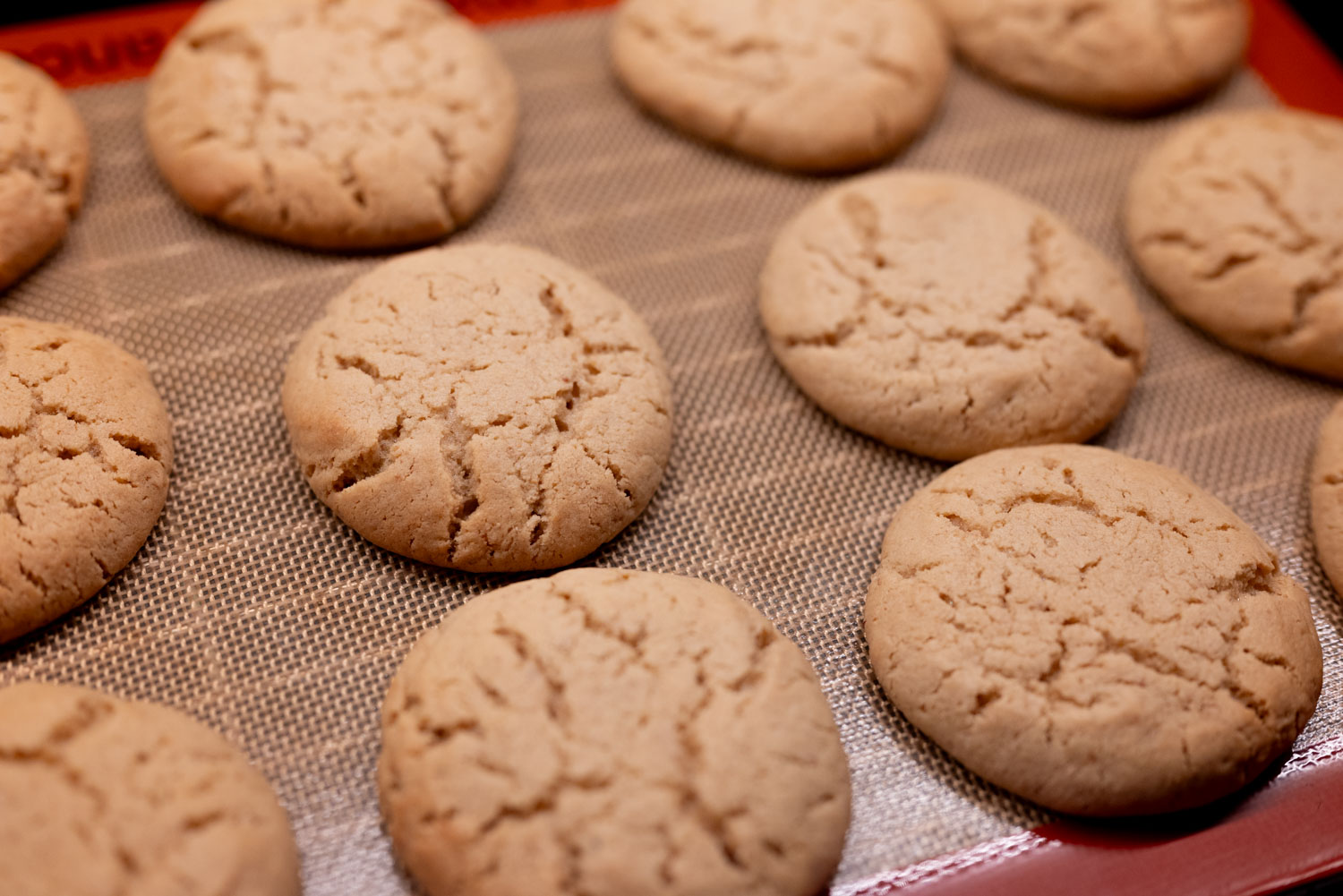 Miso peanut butter cookies