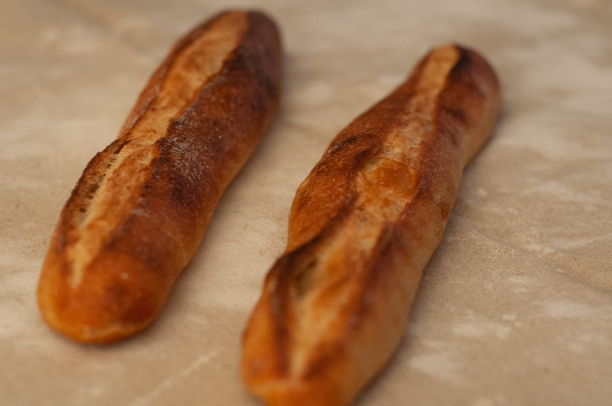 Bread