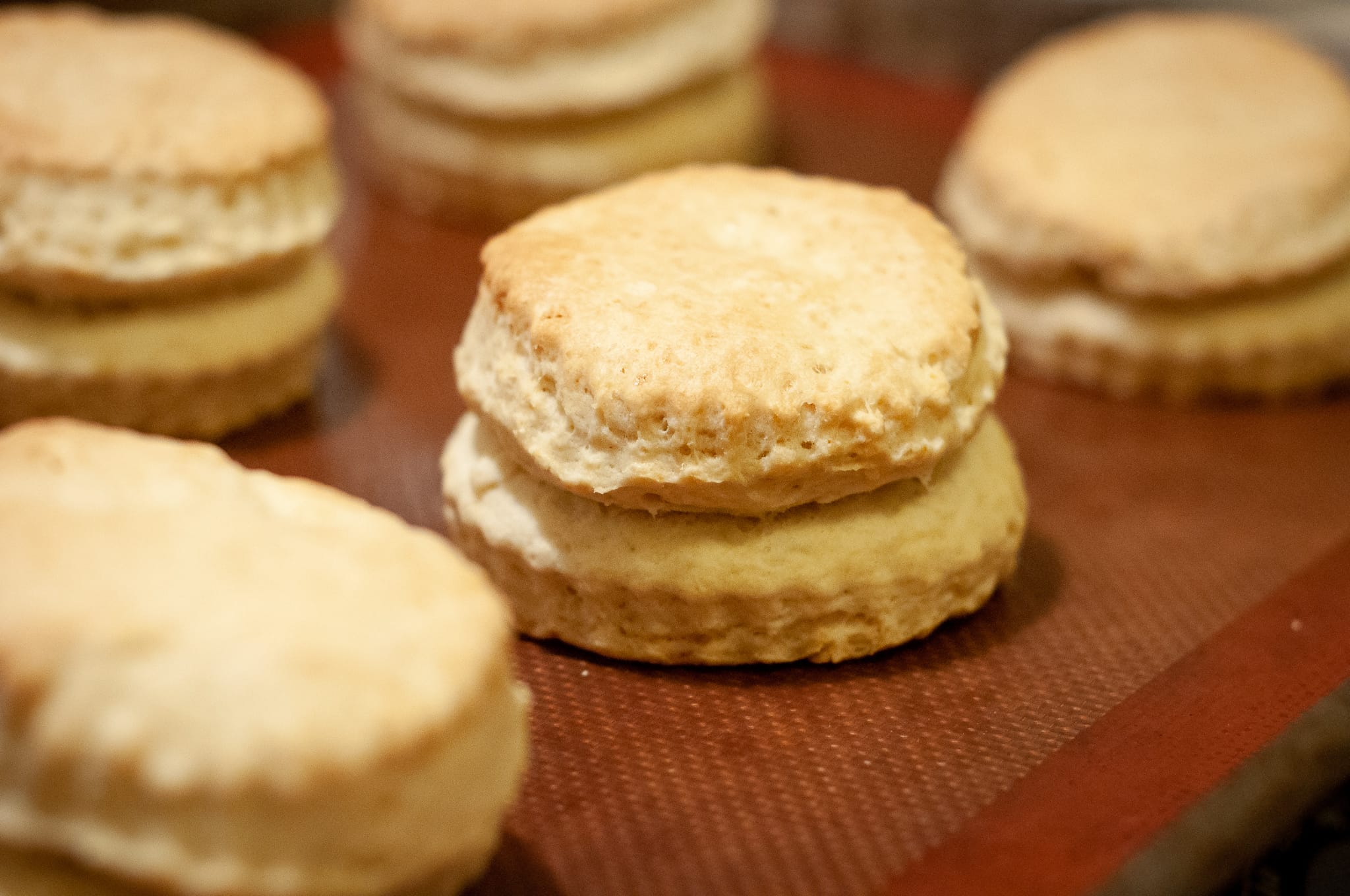 Shortbread out of the oven